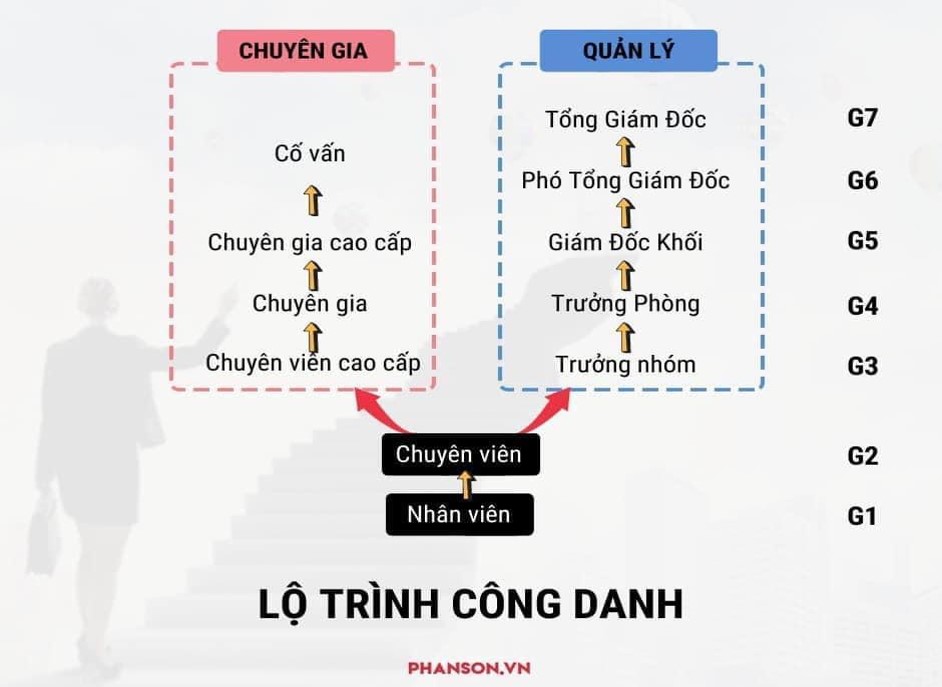 Lộ trình phát triển